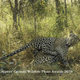 Imagen para el artículo titulado Alégrate el día con los finalistas del concurso de fotografía de naturaleza más divertido